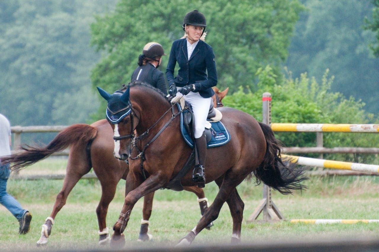 34669126_10215107293666461_3339160536599232512_n