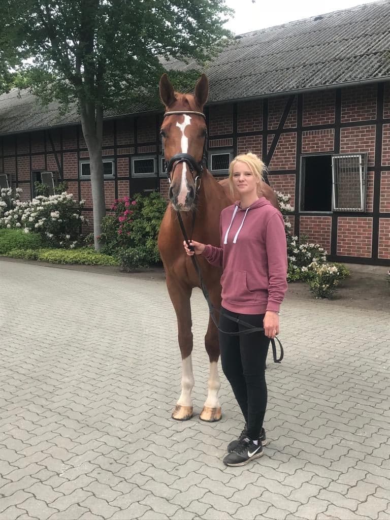 72570184_478801486106434_5318640500092174336_n